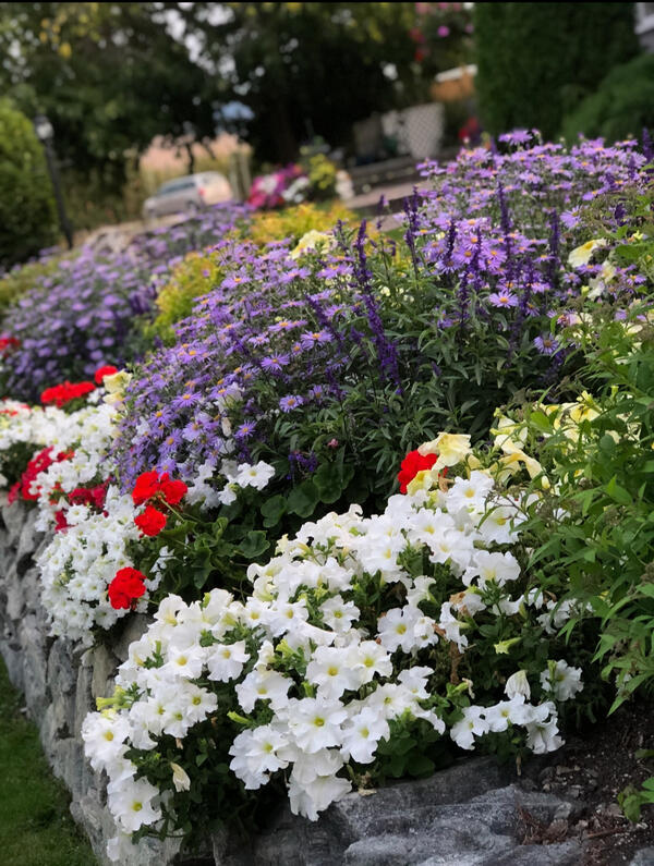 Weeding and cleanups